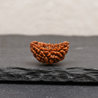 1 Mukhi Original Rudraksha - Indian Origin