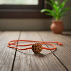 4 Mukhi Rudraksha (Original, Indian) – Certified & Energized